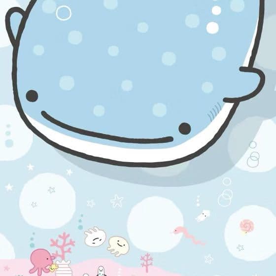 赵慧