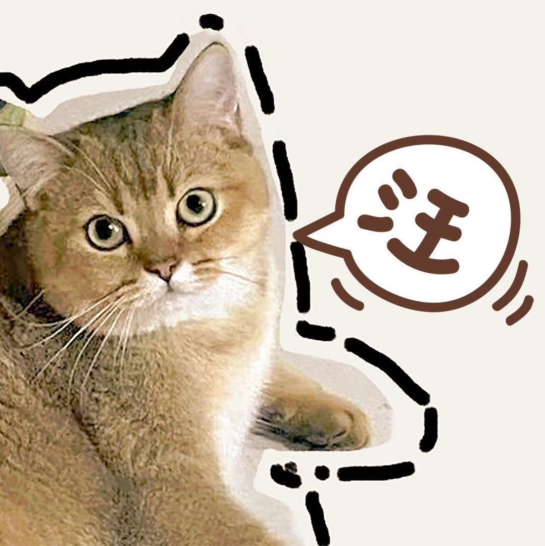 徐昕然