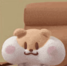 徐晨晨